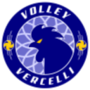 cropped volleyvercelli logo.png