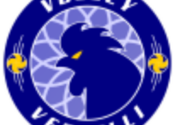 cropped volleyvercelli logo.png