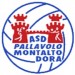 PALLAVOLO MONTALTO DORA